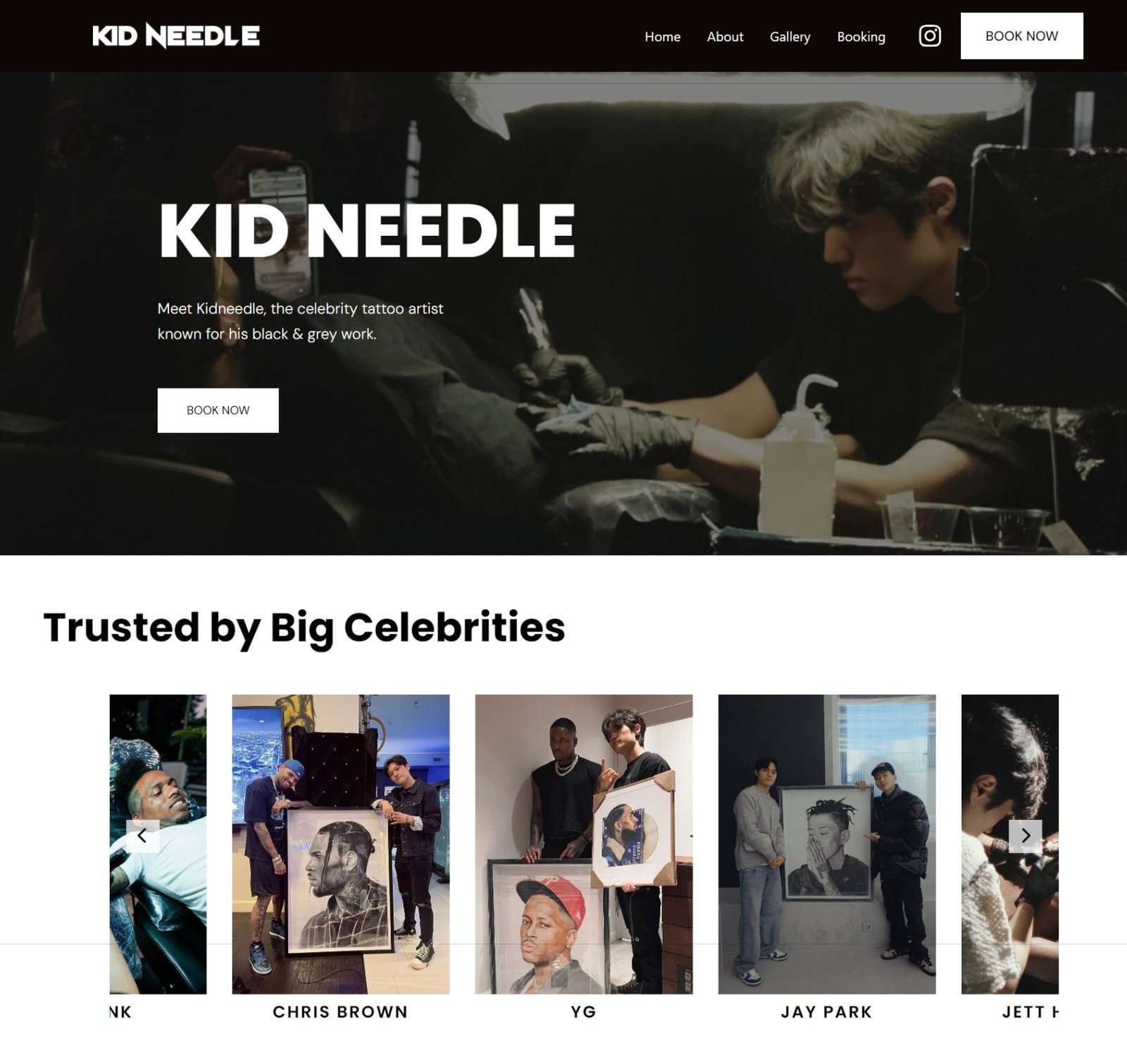 kidneedle website